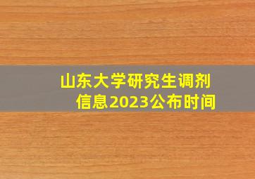 山东大学研究生调剂信息2023公布时间