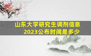 山东大学研究生调剂信息2023公布时间是多少