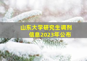 山东大学研究生调剂信息2023年公布