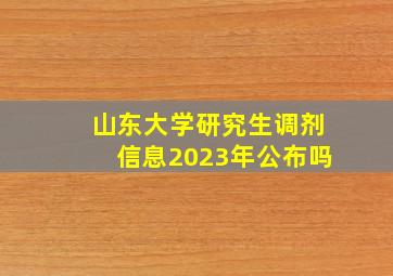 山东大学研究生调剂信息2023年公布吗