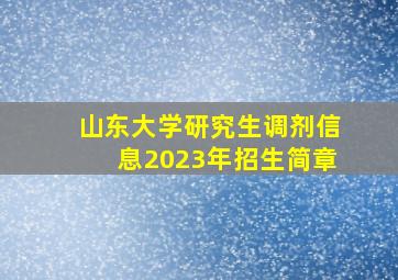 山东大学研究生调剂信息2023年招生简章