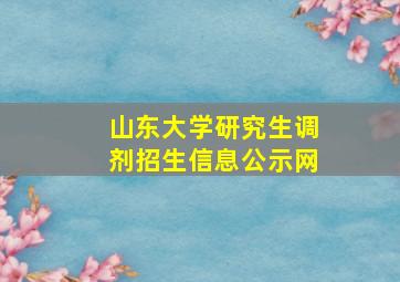 山东大学研究生调剂招生信息公示网