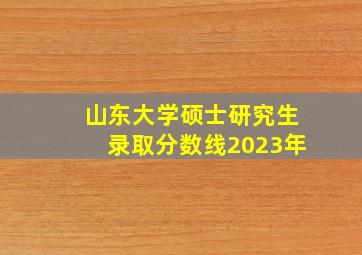 山东大学硕士研究生录取分数线2023年