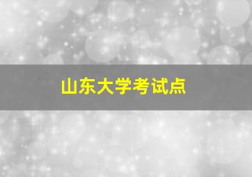 山东大学考试点