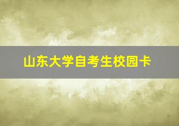 山东大学自考生校园卡