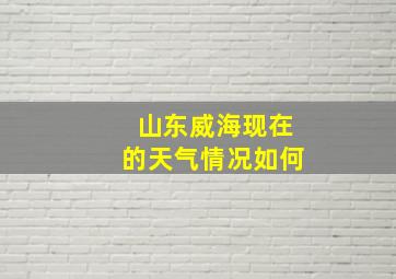 山东威海现在的天气情况如何