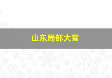 山东局部大雪