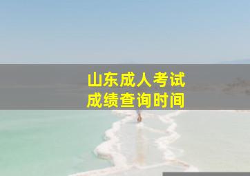 山东成人考试成绩查询时间