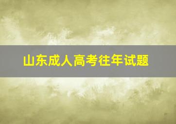 山东成人高考往年试题