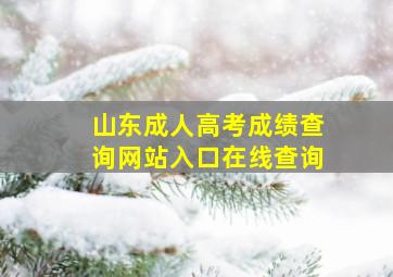 山东成人高考成绩查询网站入口在线查询