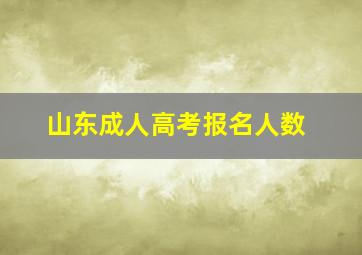 山东成人高考报名人数