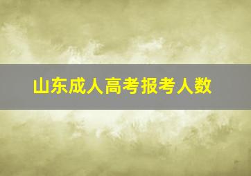 山东成人高考报考人数