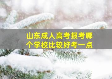 山东成人高考报考哪个学校比较好考一点