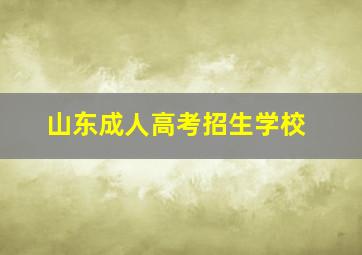 山东成人高考招生学校