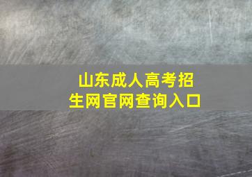 山东成人高考招生网官网查询入口