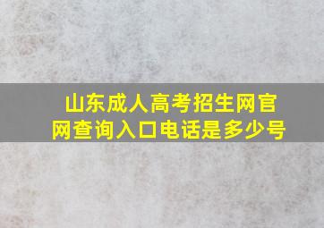 山东成人高考招生网官网查询入口电话是多少号