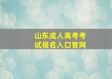 山东成人高考考试报名入口官网