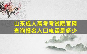 山东成人高考考试院官网查询报名入口电话是多少