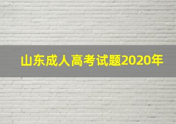 山东成人高考试题2020年