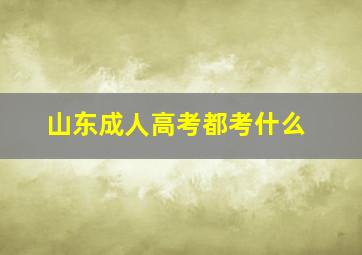 山东成人高考都考什么