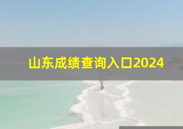 山东成绩查询入口2024