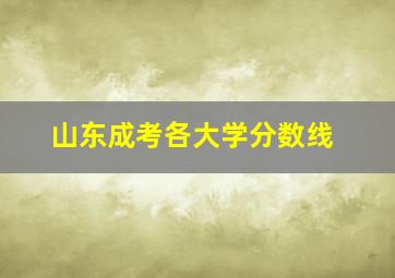 山东成考各大学分数线