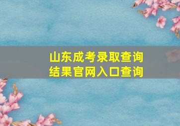 山东成考录取查询结果官网入口查询