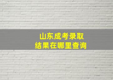 山东成考录取结果在哪里查询