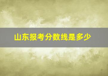 山东报考分数线是多少