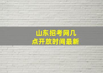 山东招考网几点开放时间最新