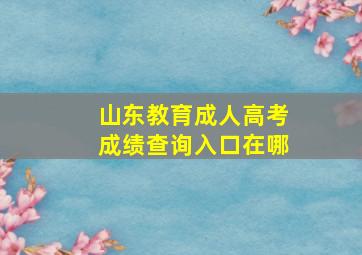 山东教育成人高考成绩查询入口在哪