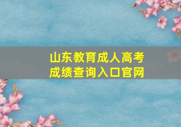 山东教育成人高考成绩查询入口官网