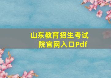 山东教育招生考试院官网入口Pdf