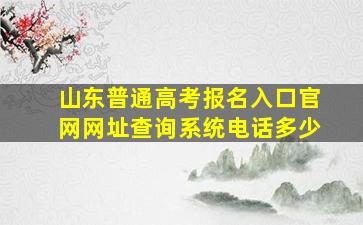 山东普通高考报名入口官网网址查询系统电话多少