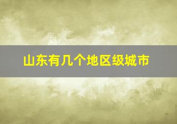 山东有几个地区级城市