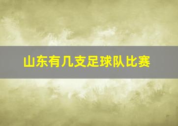 山东有几支足球队比赛