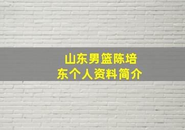 山东男篮陈培东个人资料简介