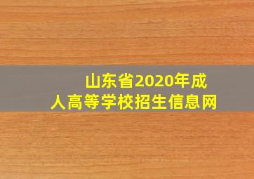 山东省2020年成人高等学校招生信息网