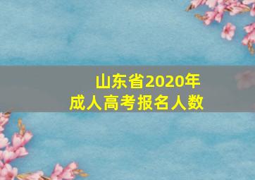 山东省2020年成人高考报名人数