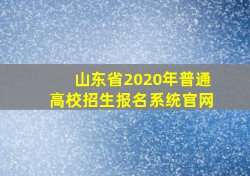 山东省2020年普通高校招生报名系统官网