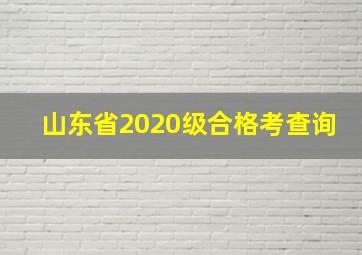 山东省2020级合格考查询