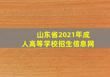 山东省2021年成人高等学校招生信息网