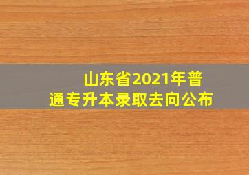 山东省2021年普通专升本录取去向公布