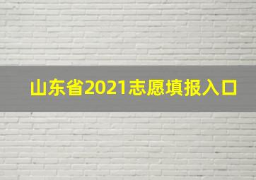 山东省2021志愿填报入口