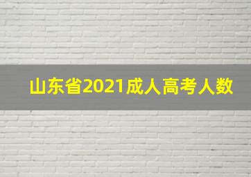 山东省2021成人高考人数