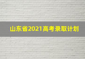 山东省2021高考录取计划