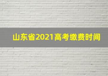 山东省2021高考缴费时间