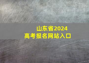 山东省2024高考报名网站入口