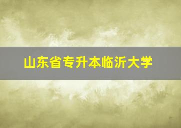 山东省专升本临沂大学