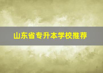 山东省专升本学校推荐